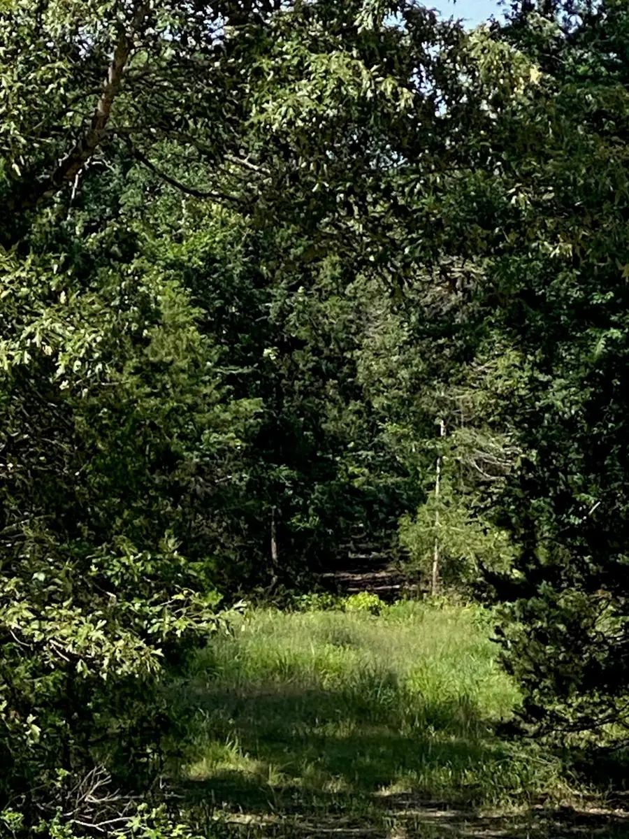 TBD 14 Fm 1848, Buffalo, TX 75831 - Image #3