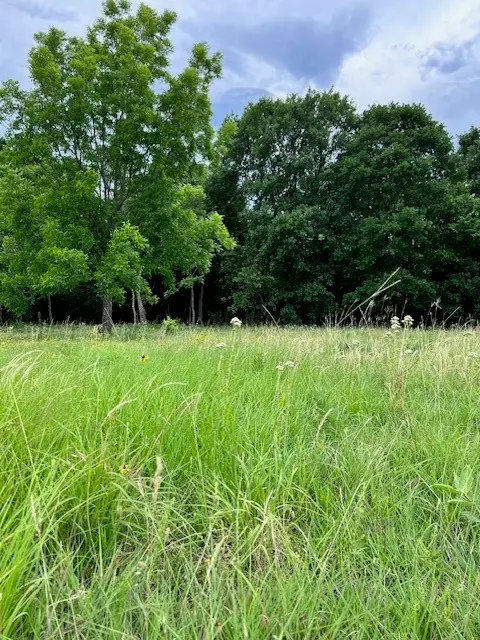 347 Copper Branch Road, Whitesboro, TX 76273