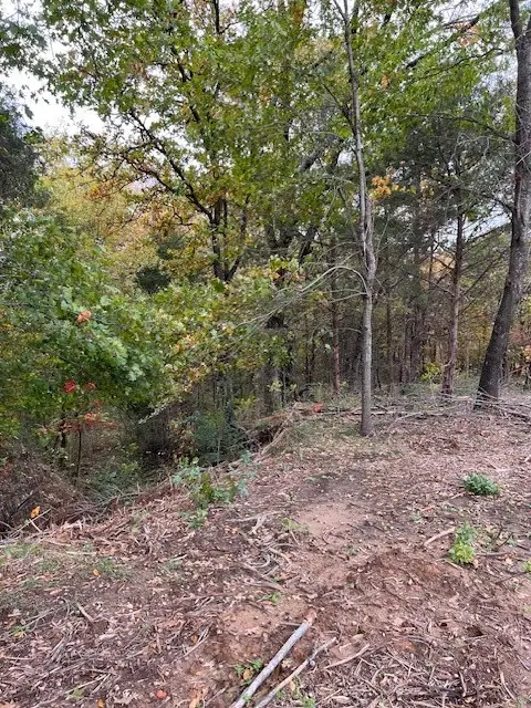 347 Copper Branch Road, Whitesboro, TX 76273 - #3