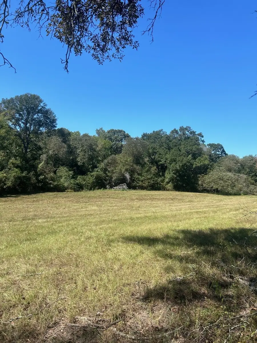 0000 Fm 607 S, Murchison, TX 75778 - Image #3