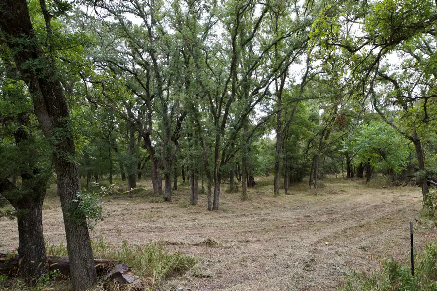 TBD Garner Adell Rd, Weatherford, TX 76088 - Image #2