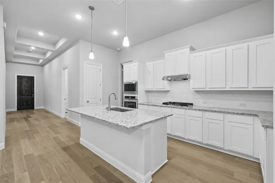 16529 Freshwater Drive, Celina, TX 75009 - Image #3