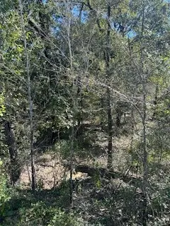 0 Farris Lane, Frierson, LA 71027 - Image #3