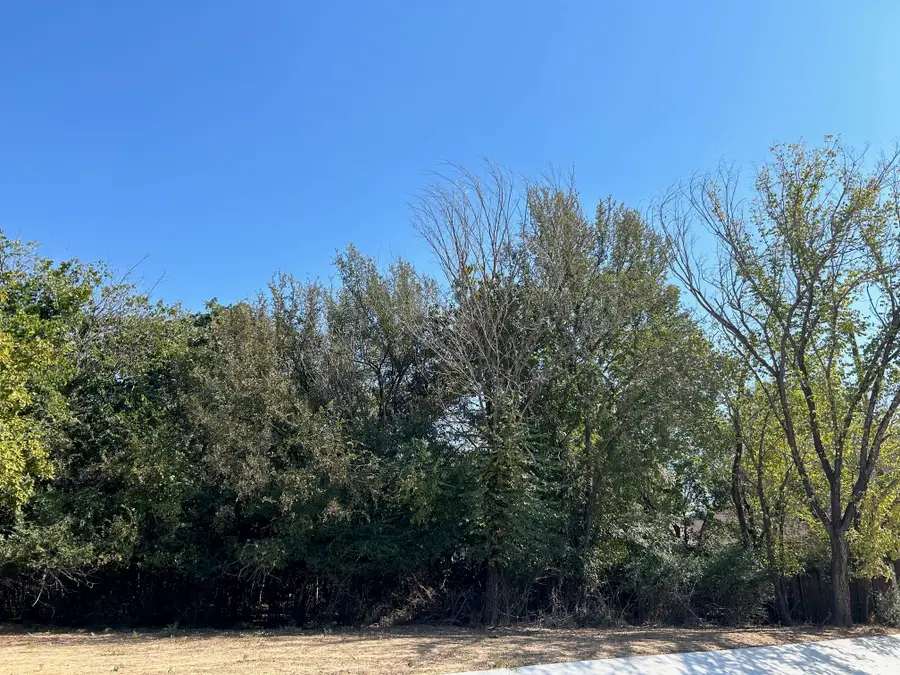 335 S Ash Avenue, Azle, TX 76020 - Image #2