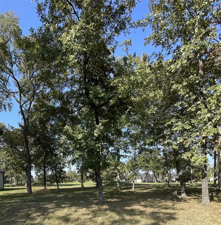 247 Saint Andrews Drive, Mabank, TX 75156 - Image #3