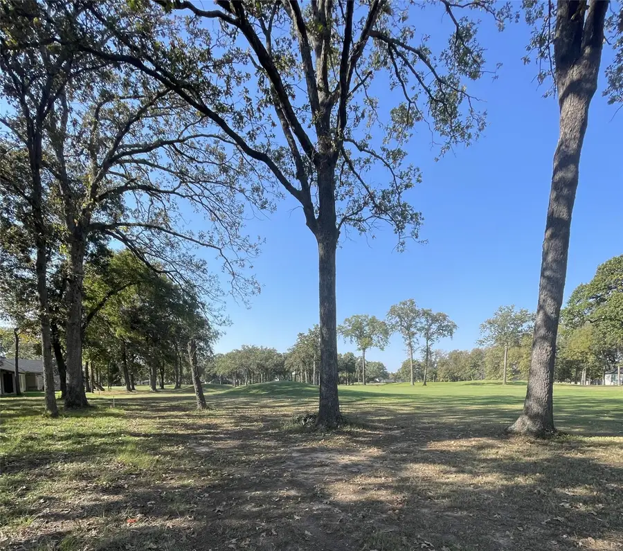 245 Saint Andrews Drive, Mabank, TX 75156 - Image #3