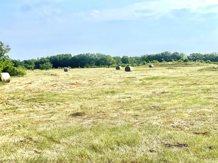 TBD N Highway 171, Mexia, TX 76667 - Image #2