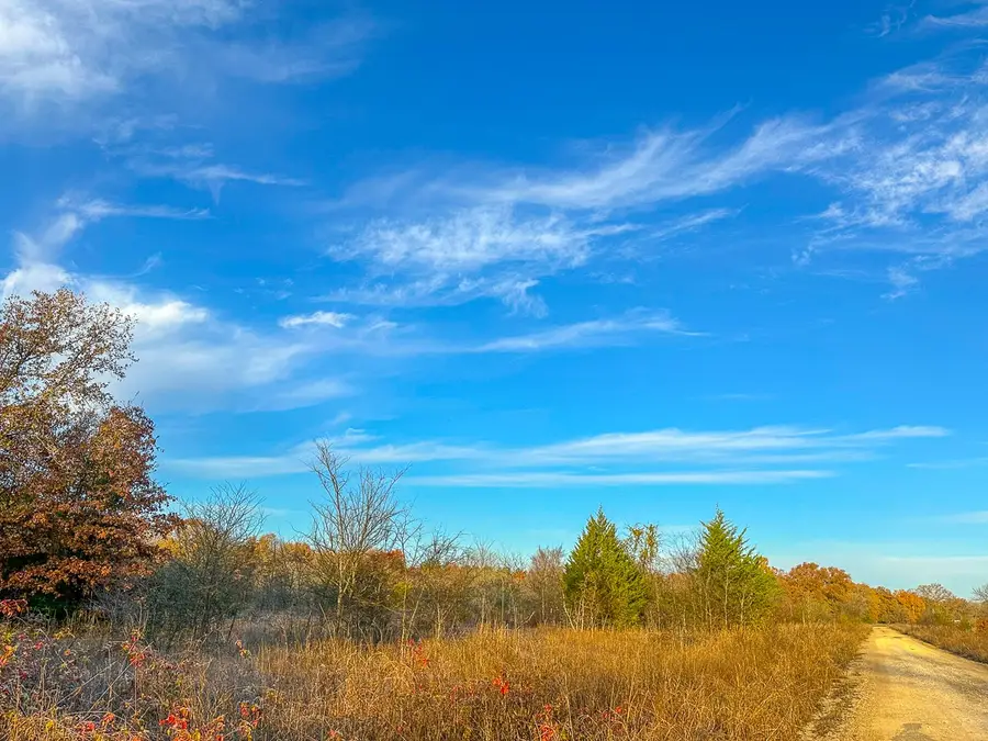 00 County Road 4640, Avery, TX 75554 - Image #2