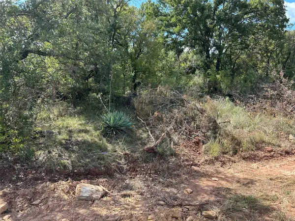 555 Oak Point Drive, May, TX 76857