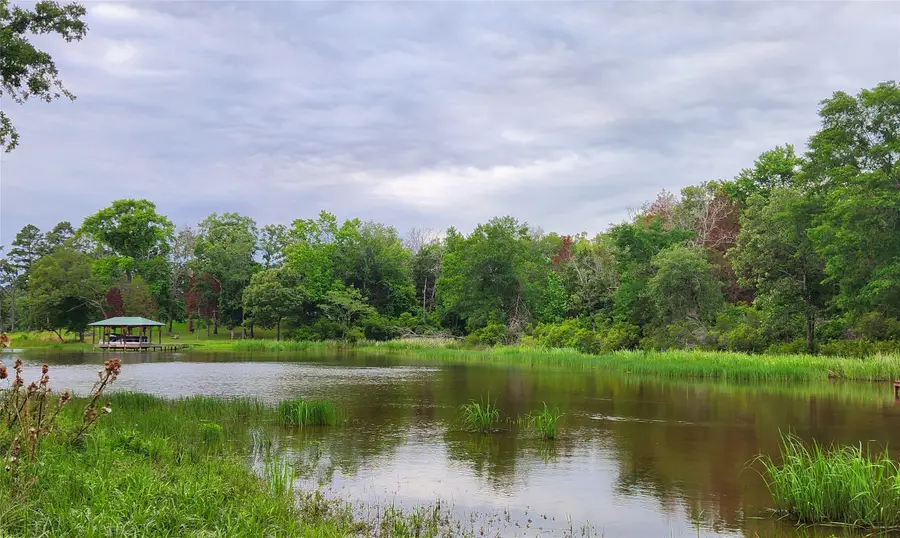 9042 Safari Bluff, Larue, TX 75770 - Image #3