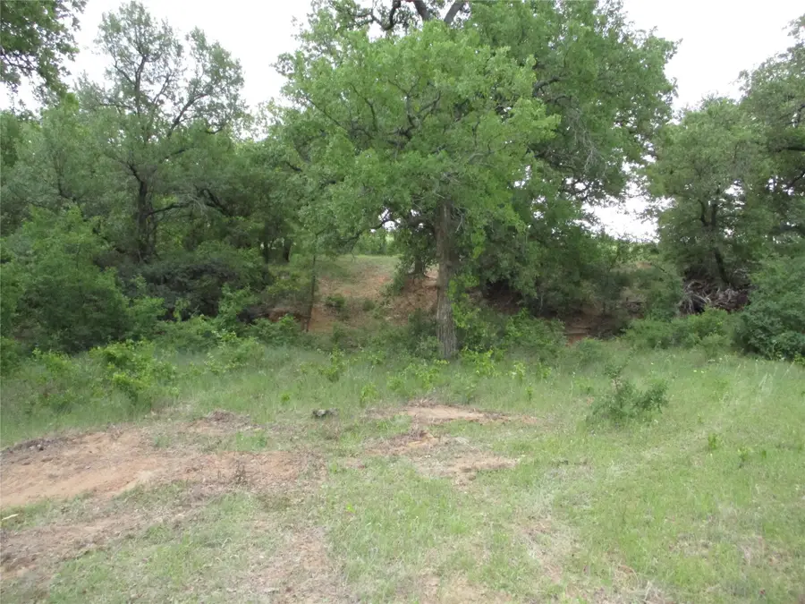 23 AC Erwin, Jacksboro, TX 76458 - Image #2
