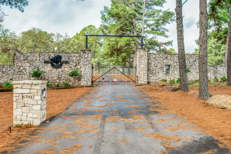 6700 Valley View Drive, Athens, TX 75752 - Image #2