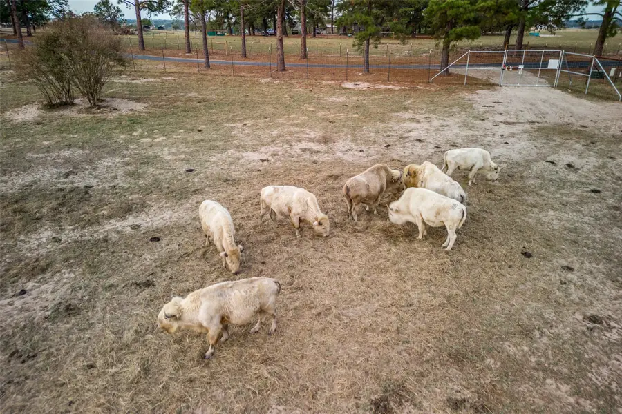 6700 Valley View Drive, Athens, TX 75752 - Image #3