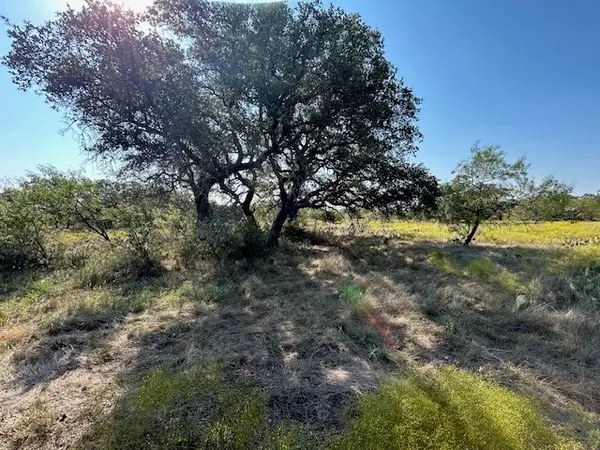 TBD Cr 204, Richland Springs, TX 76871
