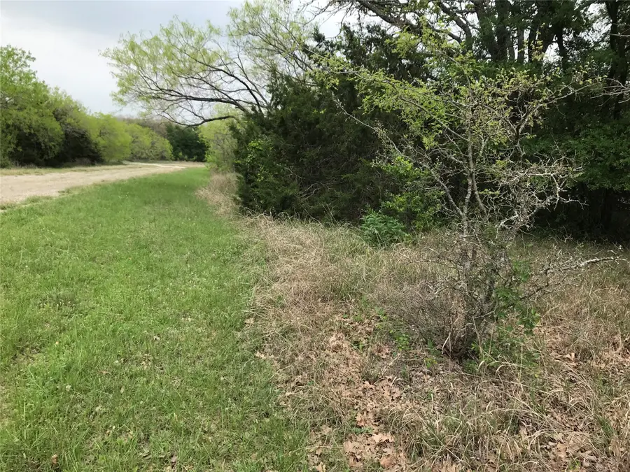 31037 Doe Run Court, Whitney, TX 76692 - #2