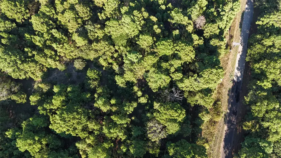 TBD County Road 3847, Hawkins, TX 75765 - Image #3