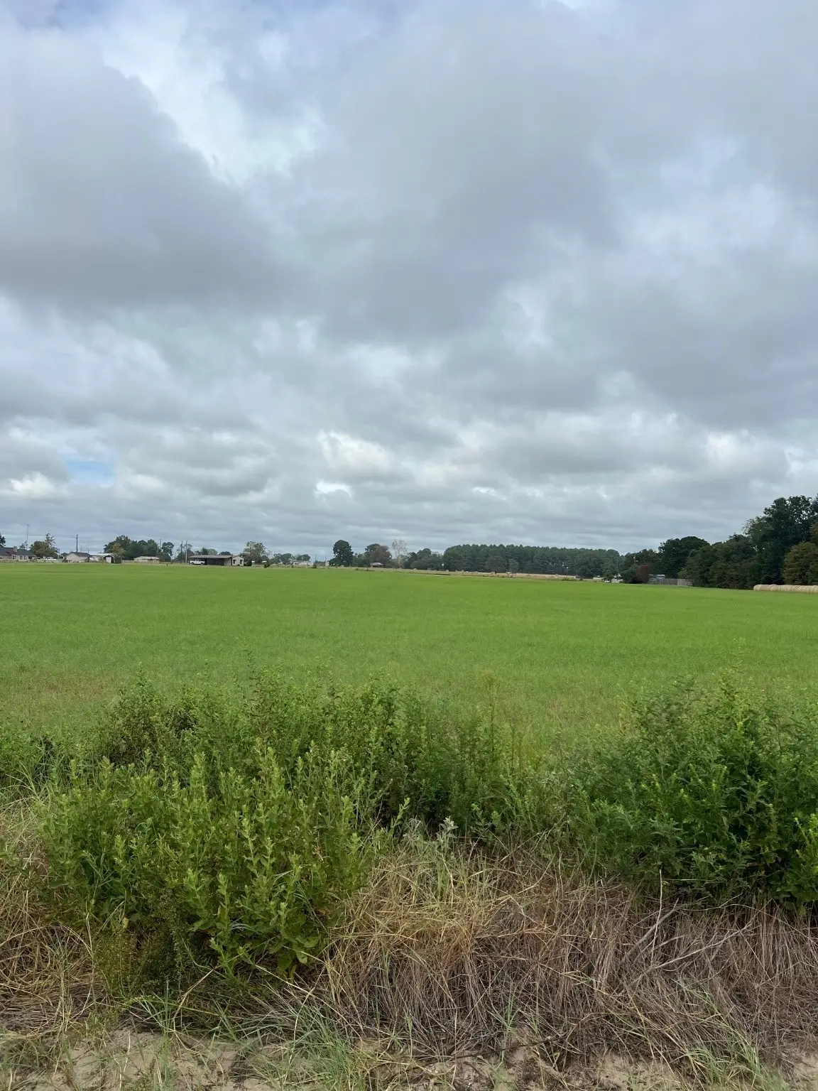 14018 C R 4122, Lindale, TX 75771 - Image #1