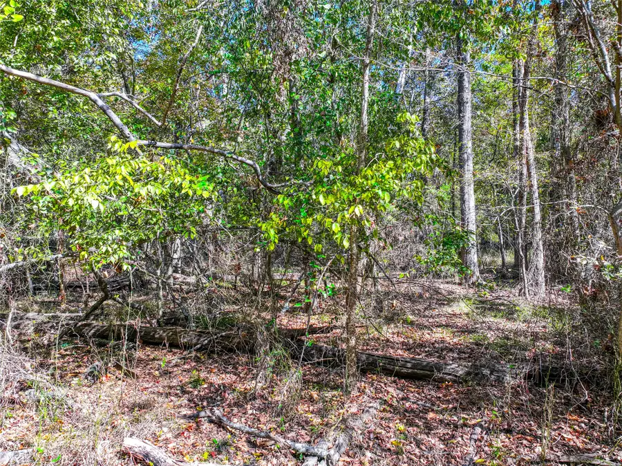 Lot 7 King Sebastion Road, Scroggins, TX 75480 - Image #2