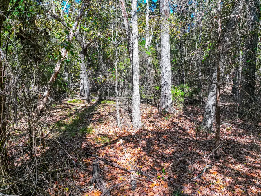 Lot 7 King Sebastion Road, Scroggins, TX 75480 - Image #3