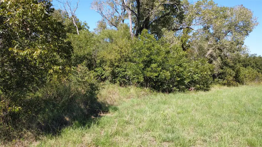 tbd County Road 226, Rising Star, TX 76471 - Image #3