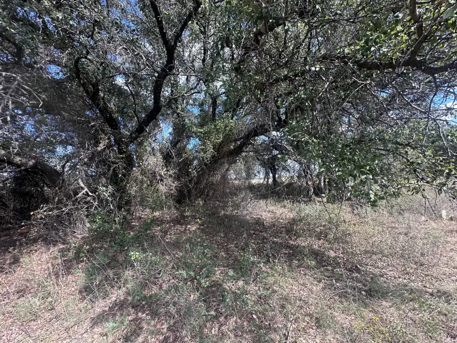 TBD Hwy 6, Cisco, TX 76437 - Image #2