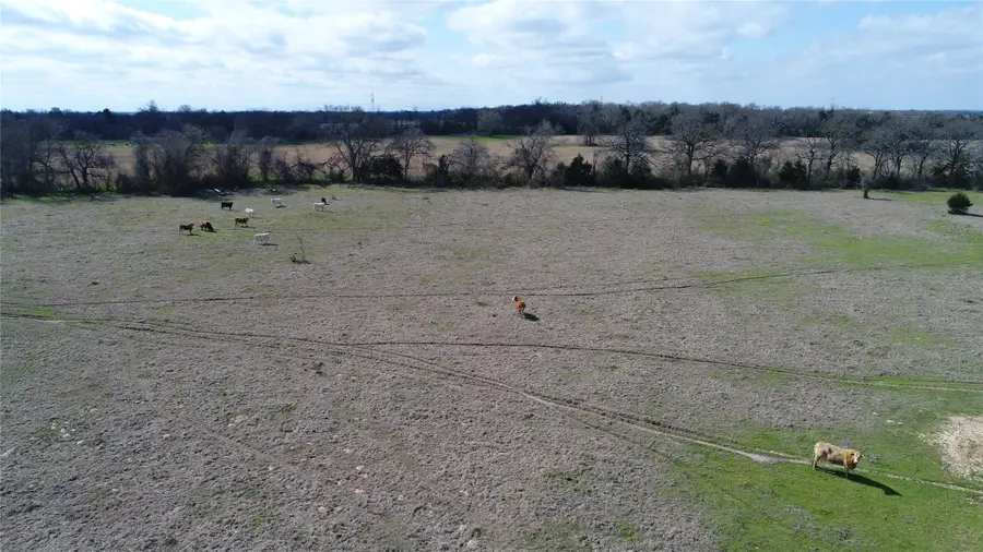 TBD Fcr 377, Fairfield, TX 75840 - Image #3