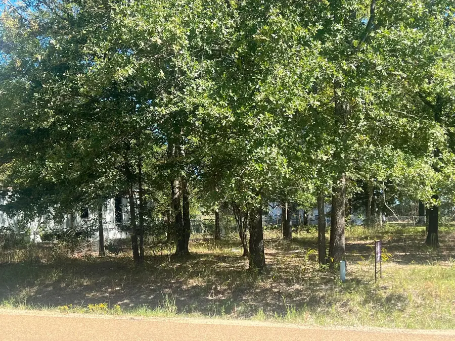 lot 707 Cherokee Shores Drive, Mabank, TX 75156 - Image #2