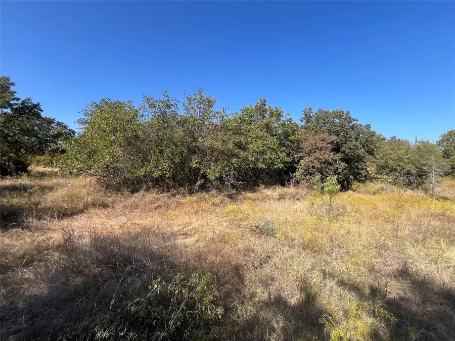 TBD Wild Hill Oak Drive, Springtown, TX 76082 - Image #3