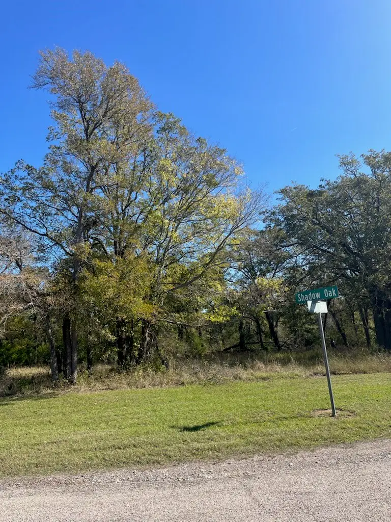 68 April Cove, Streetman, TX 75859 - Image #3