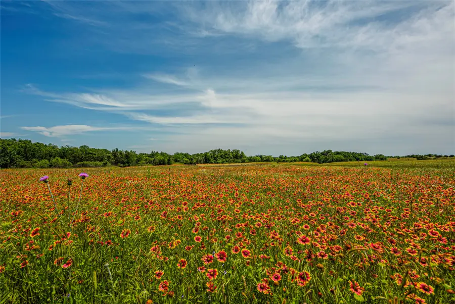 4301 Monroe Highway, Granbury, TX 76049 - Image #2