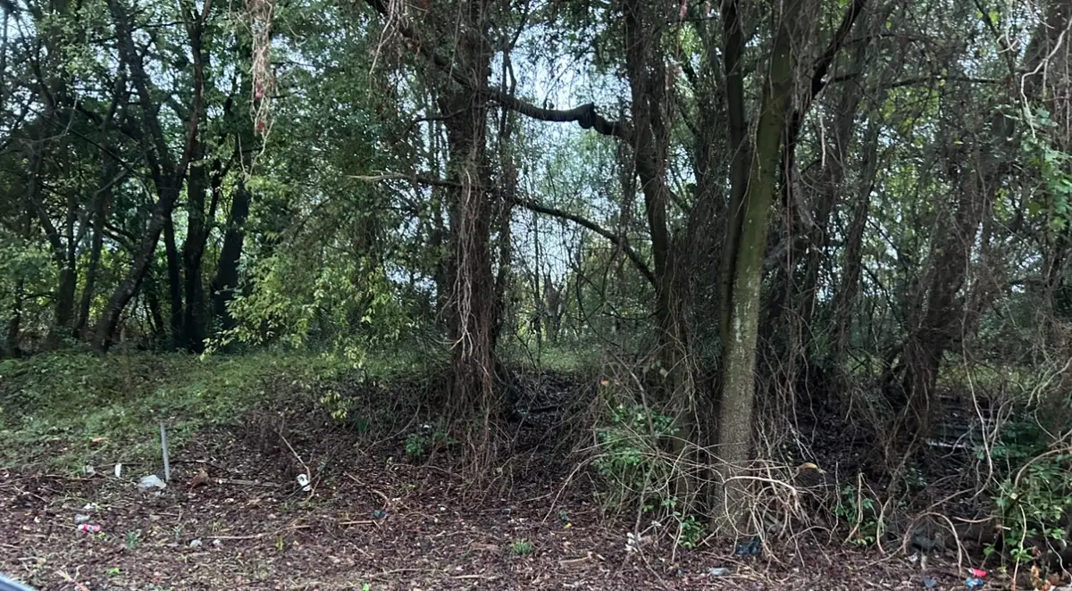 1656 Looney Street, Shreveport, LA 71103 - Image #1