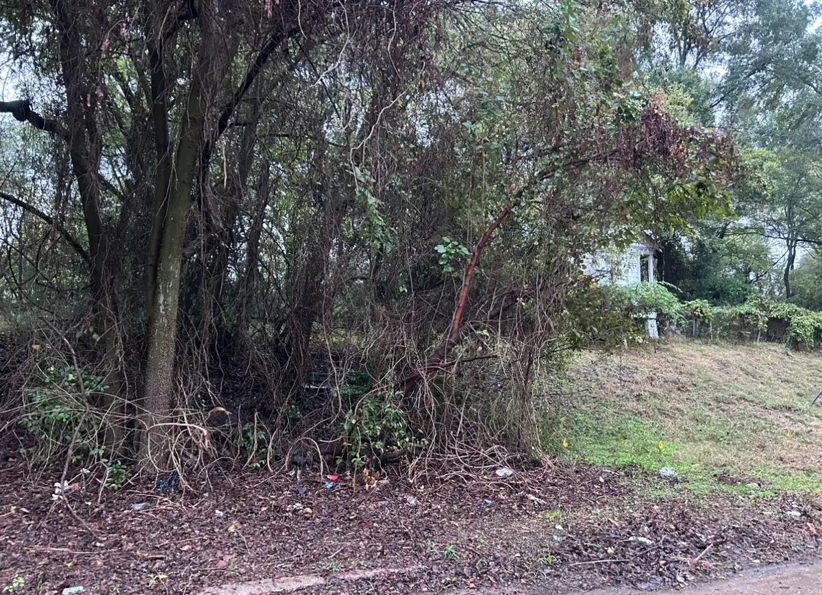 1644 Looney Street, Shreveport, LA 71103 - Image #1