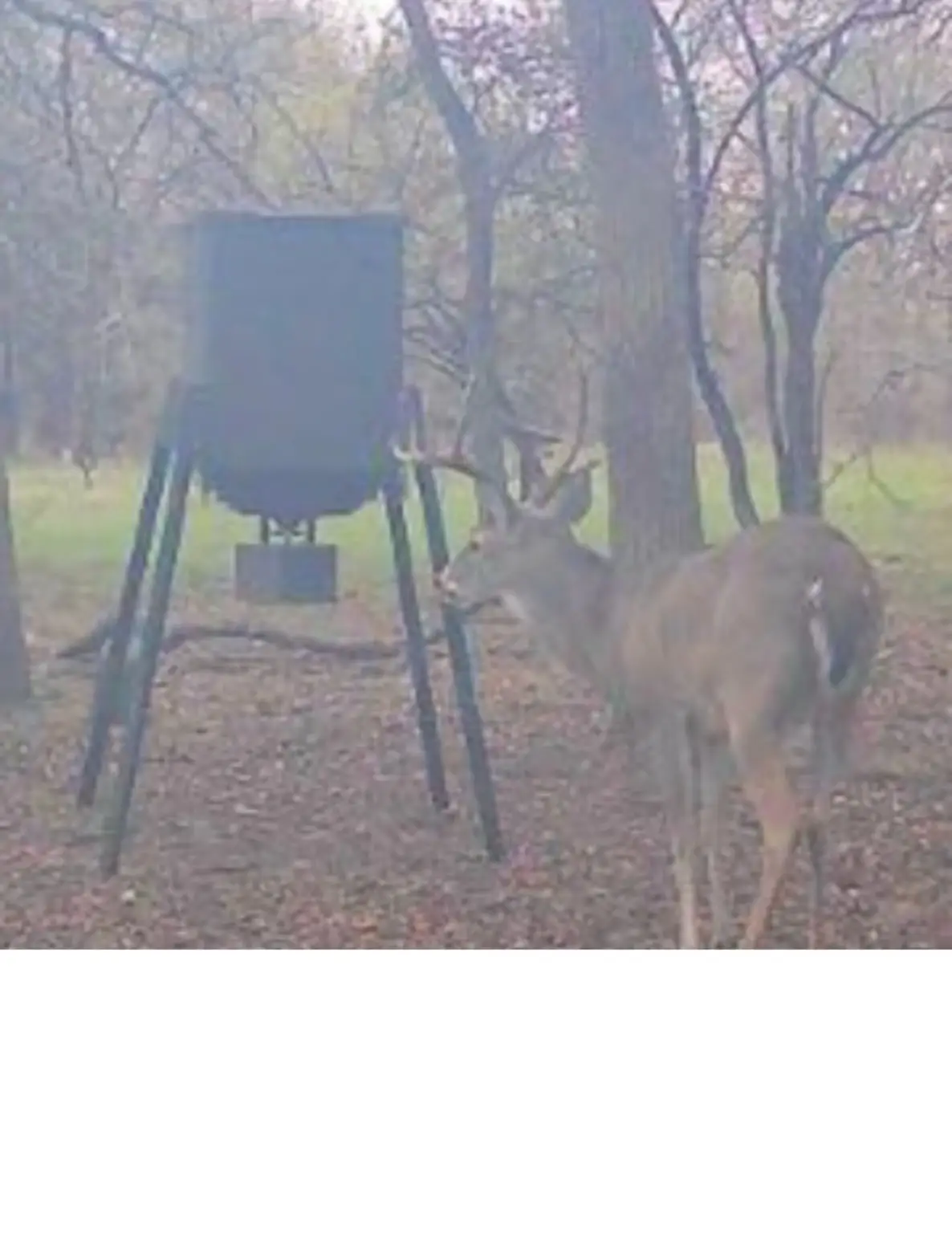 NA County Road 3665, Ladonia, TX 75449 - Image #1