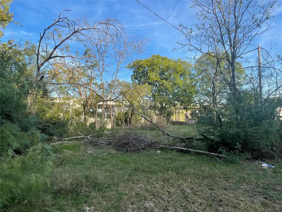 825 Shaw Street, Dallas, TX 75212 - Image #2