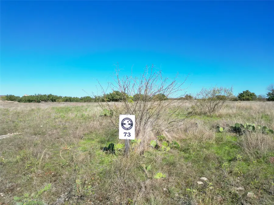 Lot 73 Mockingbird Ln, Strawn Gordon, TX 76449 - Image #3