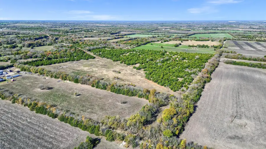 42 AC County Road 4620, Trenton, TX 75490 - Image #2