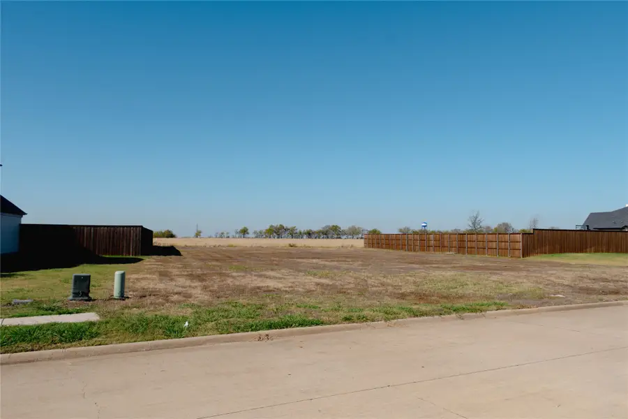 1113 Macgregor Lane, Gunter, TX 75058 - Image #2