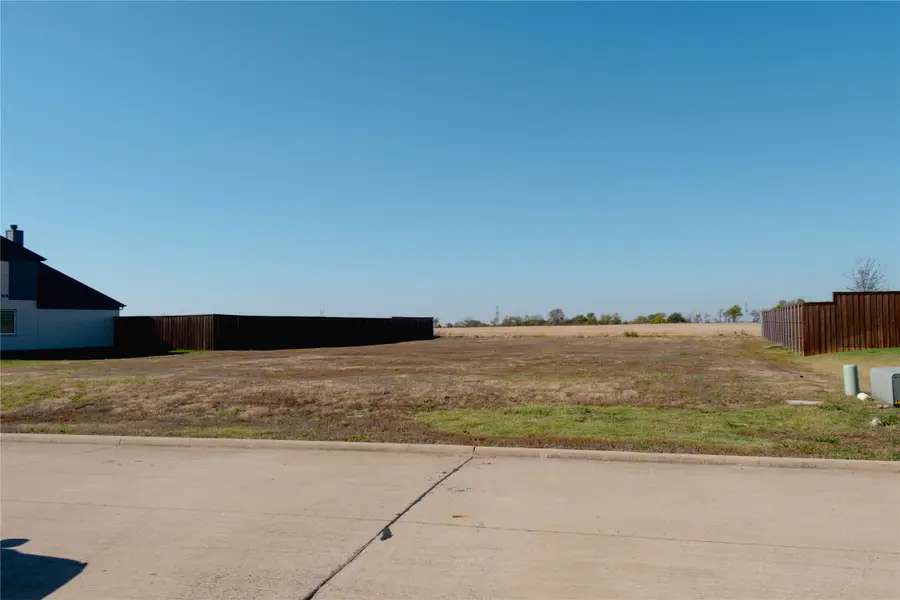 1113 Macgregor Lane, Gunter, TX 75058 - Image #3