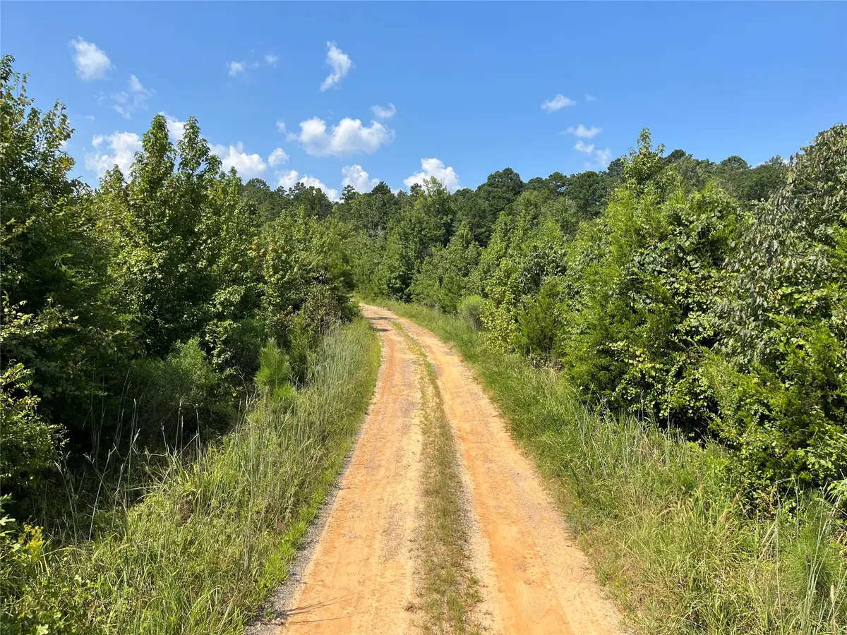 0 Ellis Jones Road, Bienville, LA 71008 - Image #1