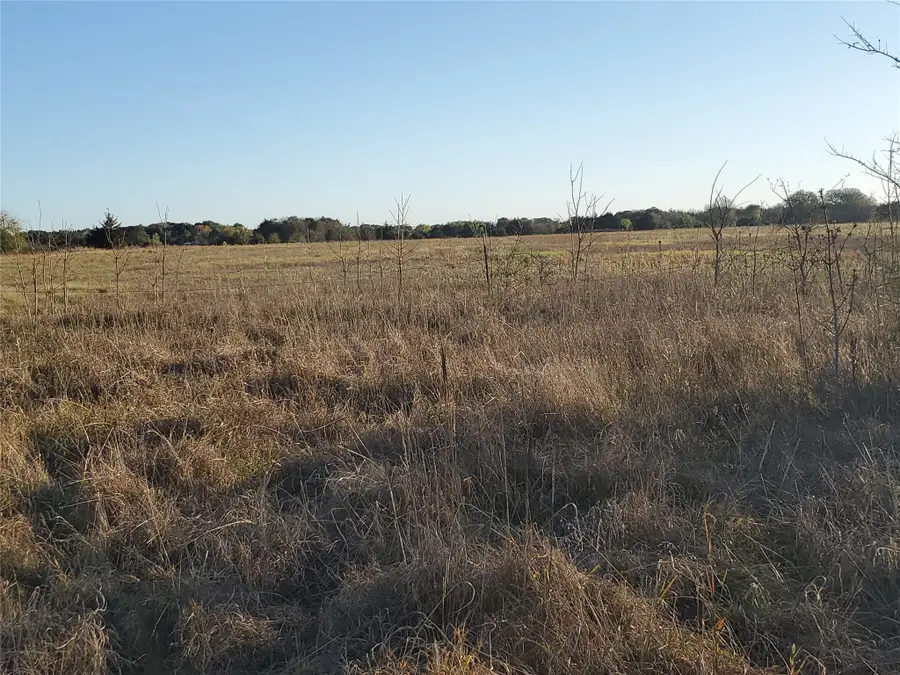 1212 Cr 2265, Ivanhoe, TX 75447 - Image #2
