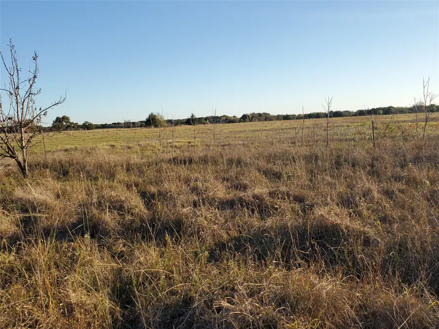 1212 Cr 2265, Ivanhoe, TX 75447 - Image #3
