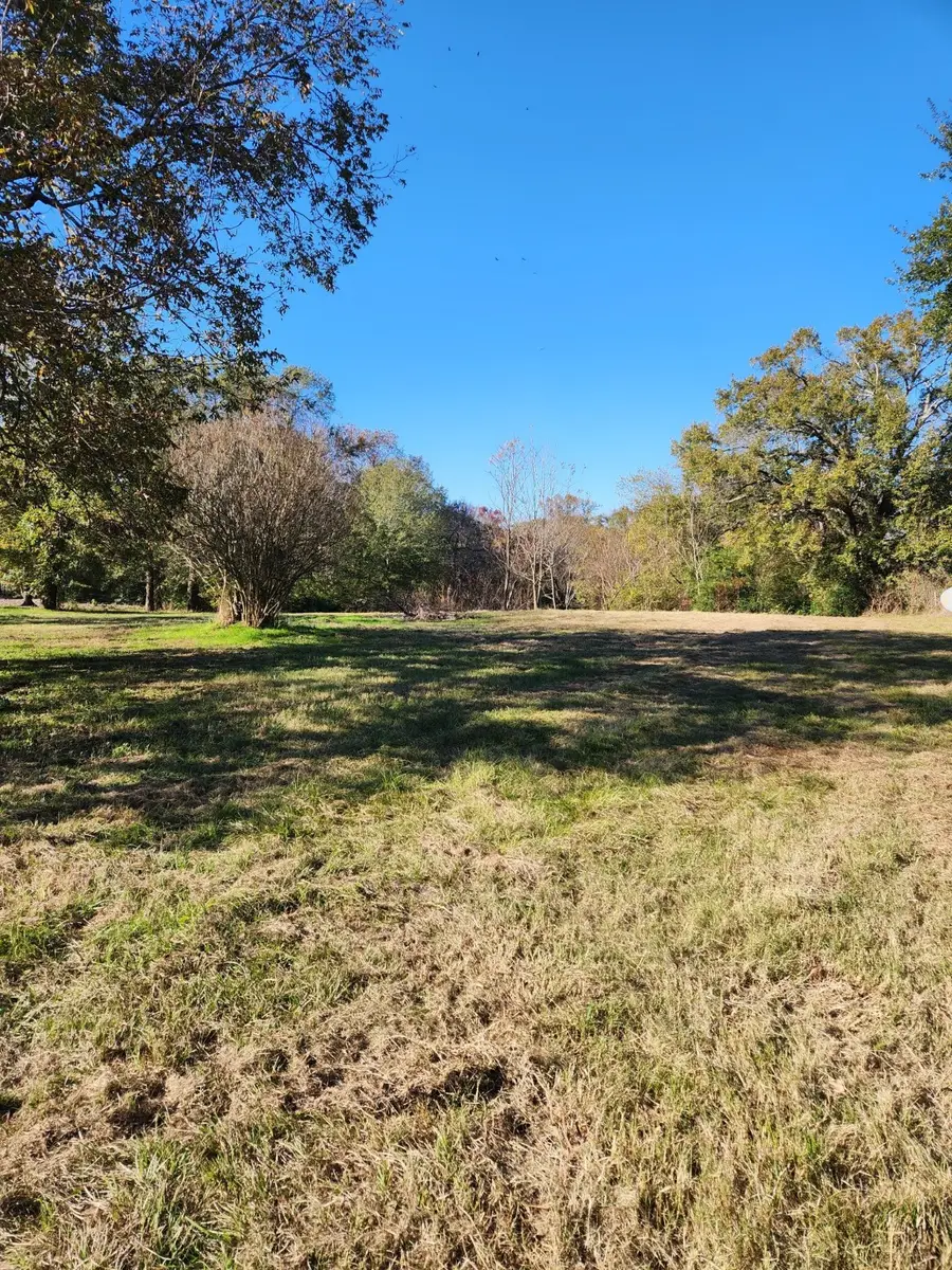 6419 Locust Street, Murchison, TX 75778 - Image #3