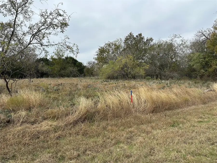 14063 Sandy Oaks Drive, Whitney, TX 76692 - #2