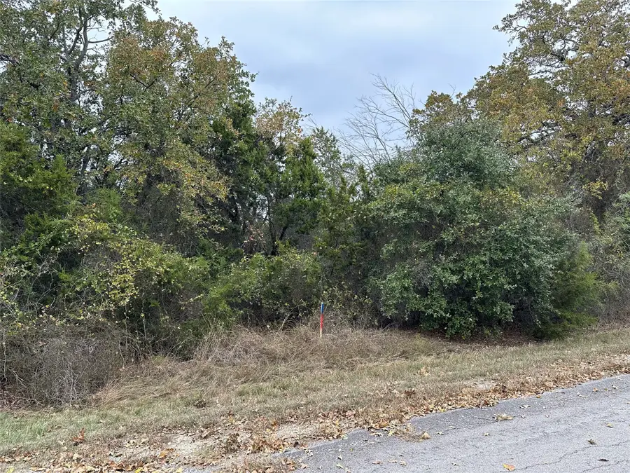 18017 Southhill Drive, Whitney, TX 76692 - #2