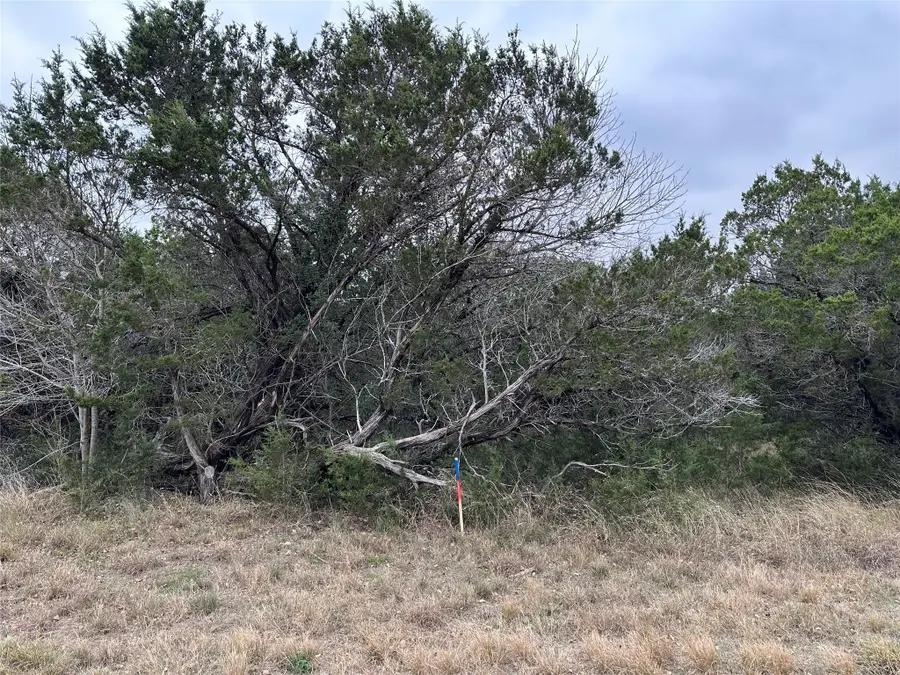 8304 Southerness Lane, Cleburne, TX 76033 - Image #2