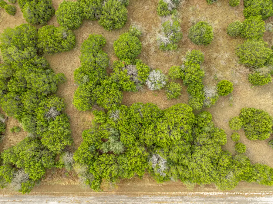 39041 Mesquite Drive, Whitney, TX 76692 - #2