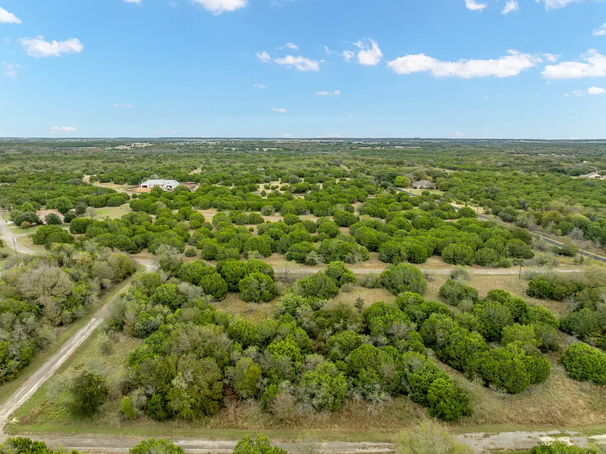 40046 Elmwood Drive, Whitney, TX 76692 - #1