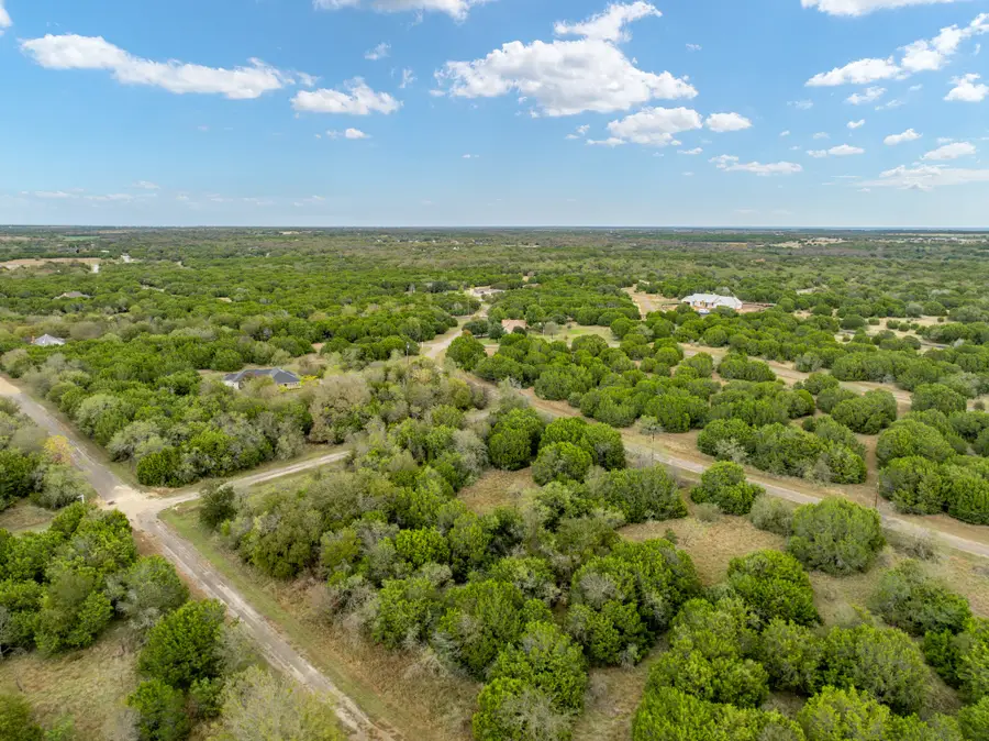 40046 Elmwood Drive, Whitney, TX 76692 - #2