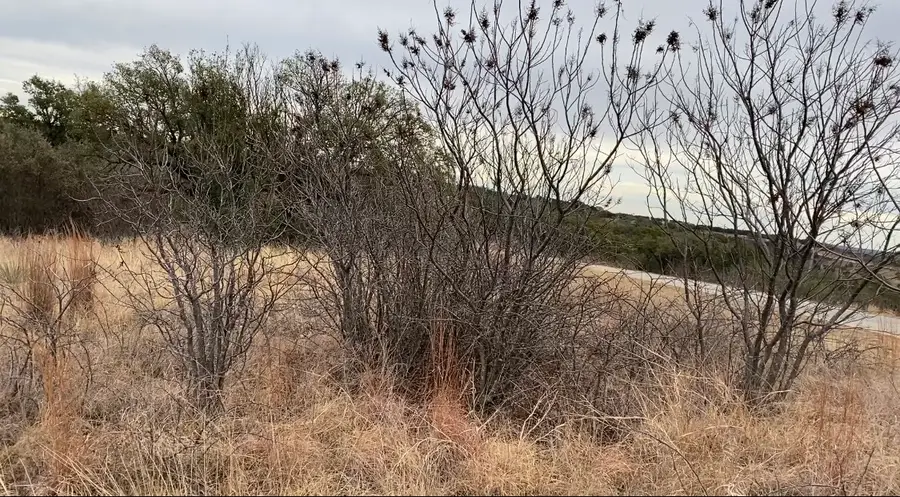 Lot 295 Shooting Star Court, Possum Kingdom Lake, TX 76449 - Image #2