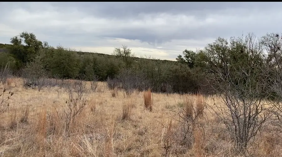 Lot 295 Shooting Star Court, Possum Kingdom Lake, TX 76449 - Image #3
